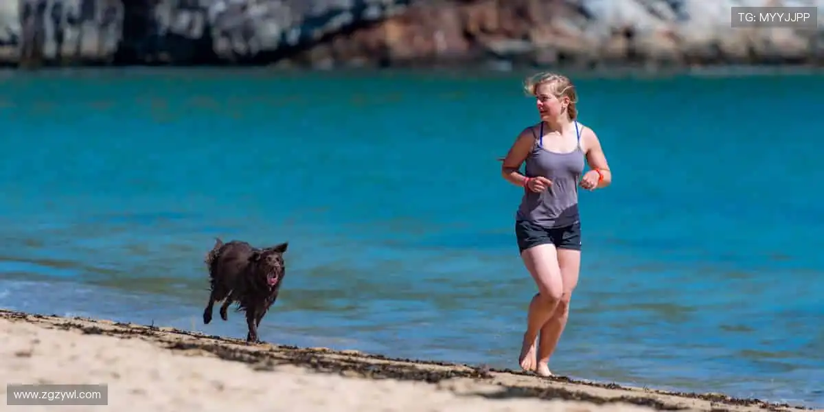 高清画质,让你身临其境每一刻!🎥⚡️